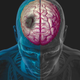 Illustration for article titled Time is Brain